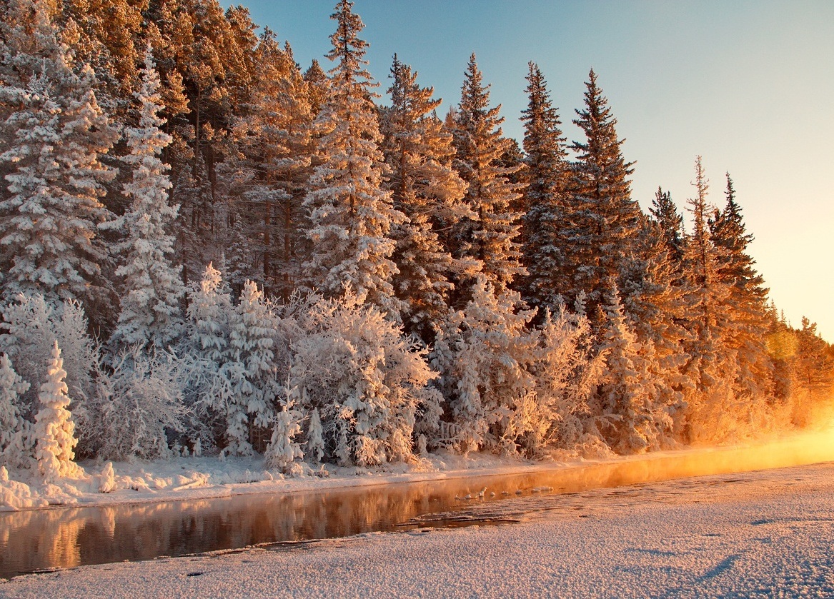 Frosty - Forest, Winter, River, Cold