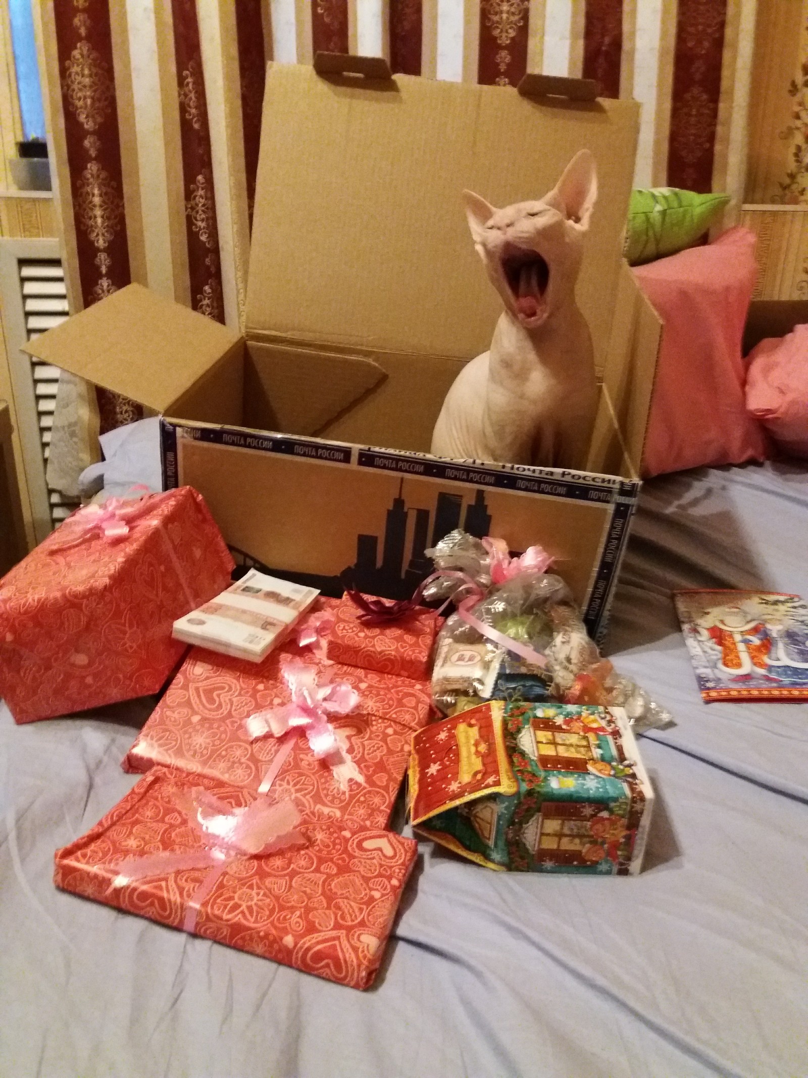 Gift exchange))) Today I received a gift from Santa from a distant and harsh Chelyabinsk) - My, Gift exchange, Secret Santa, Longpost