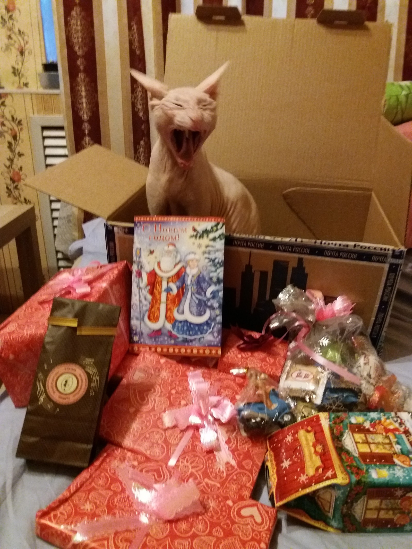 Gift exchange))) Today I received a gift from Santa from a distant and harsh Chelyabinsk) - My, Gift exchange, Secret Santa, Longpost