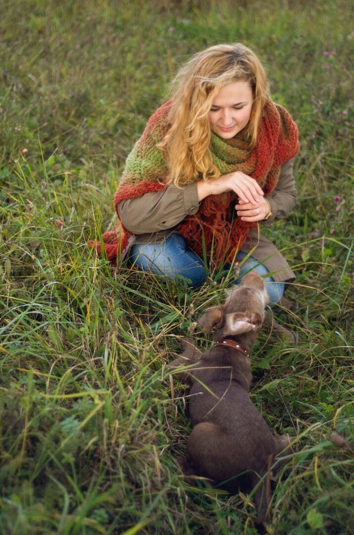 Truffle chocolate dog - My, Dog, Best friend, Longpost, Story