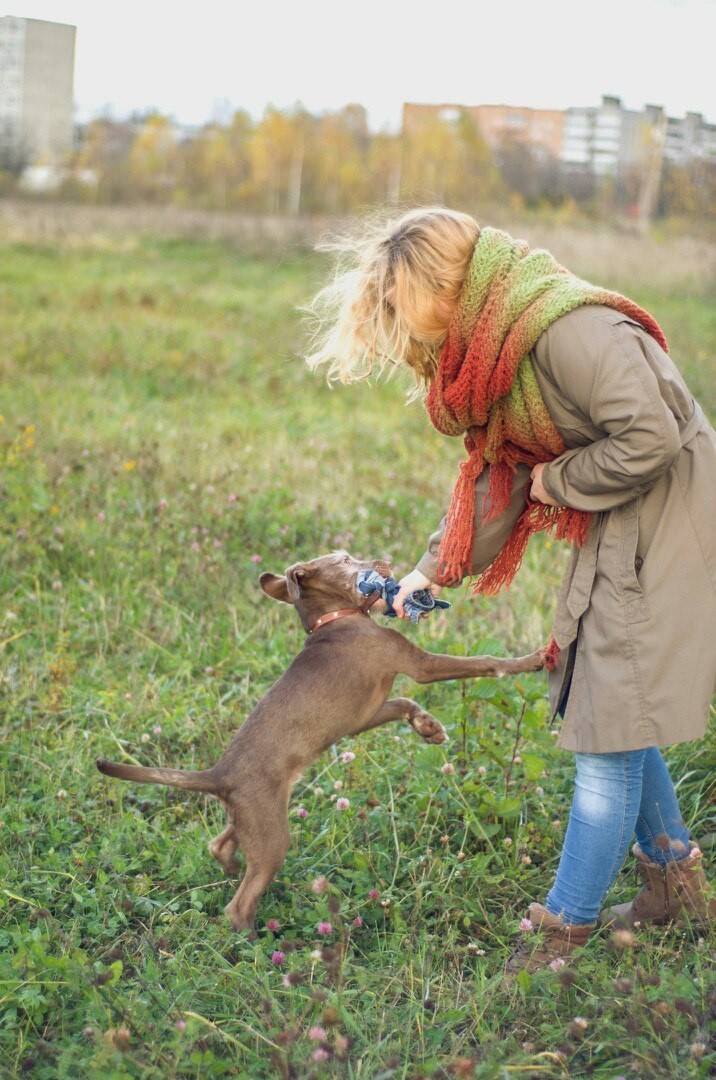 Truffle chocolate dog - My, Dog, Best friend, Longpost, Story