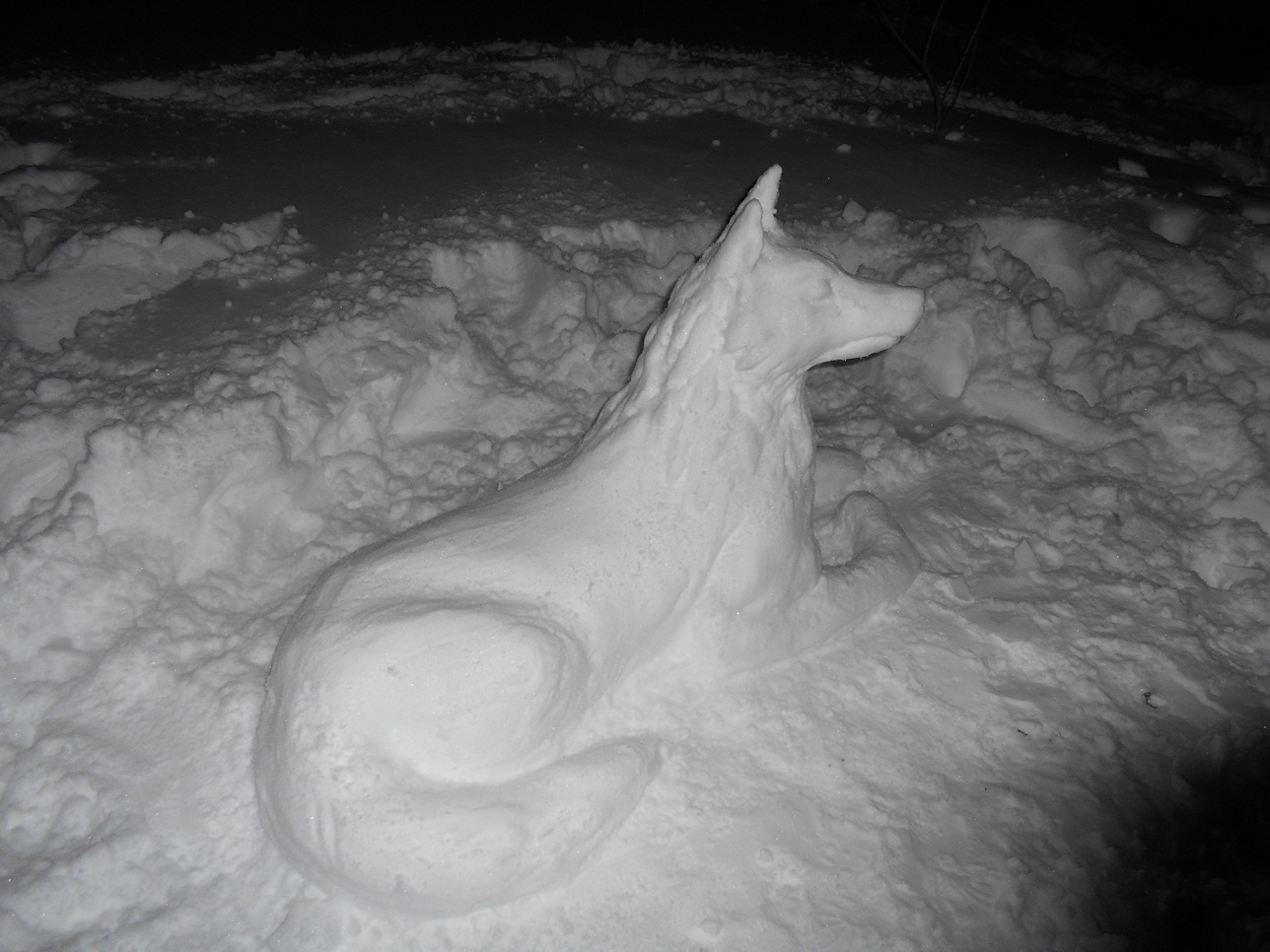 Snow Wolf - My, Snow, snowman, Winter, Лепка, Wolf