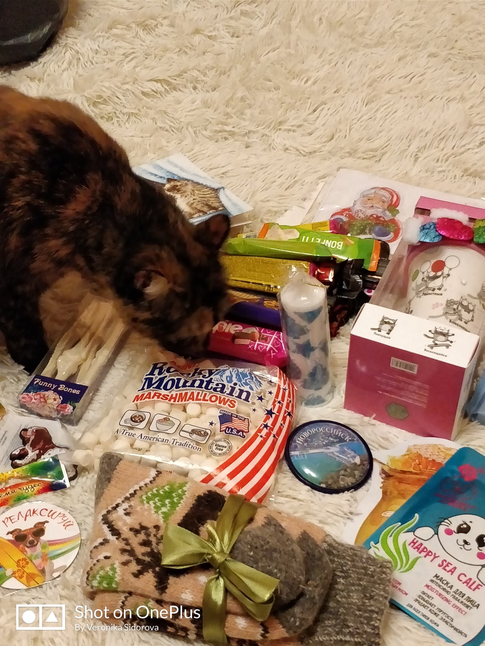 New Year's gift for the Old New Year - My, New Year, Secret Santa, cat, Brevity, Longpost