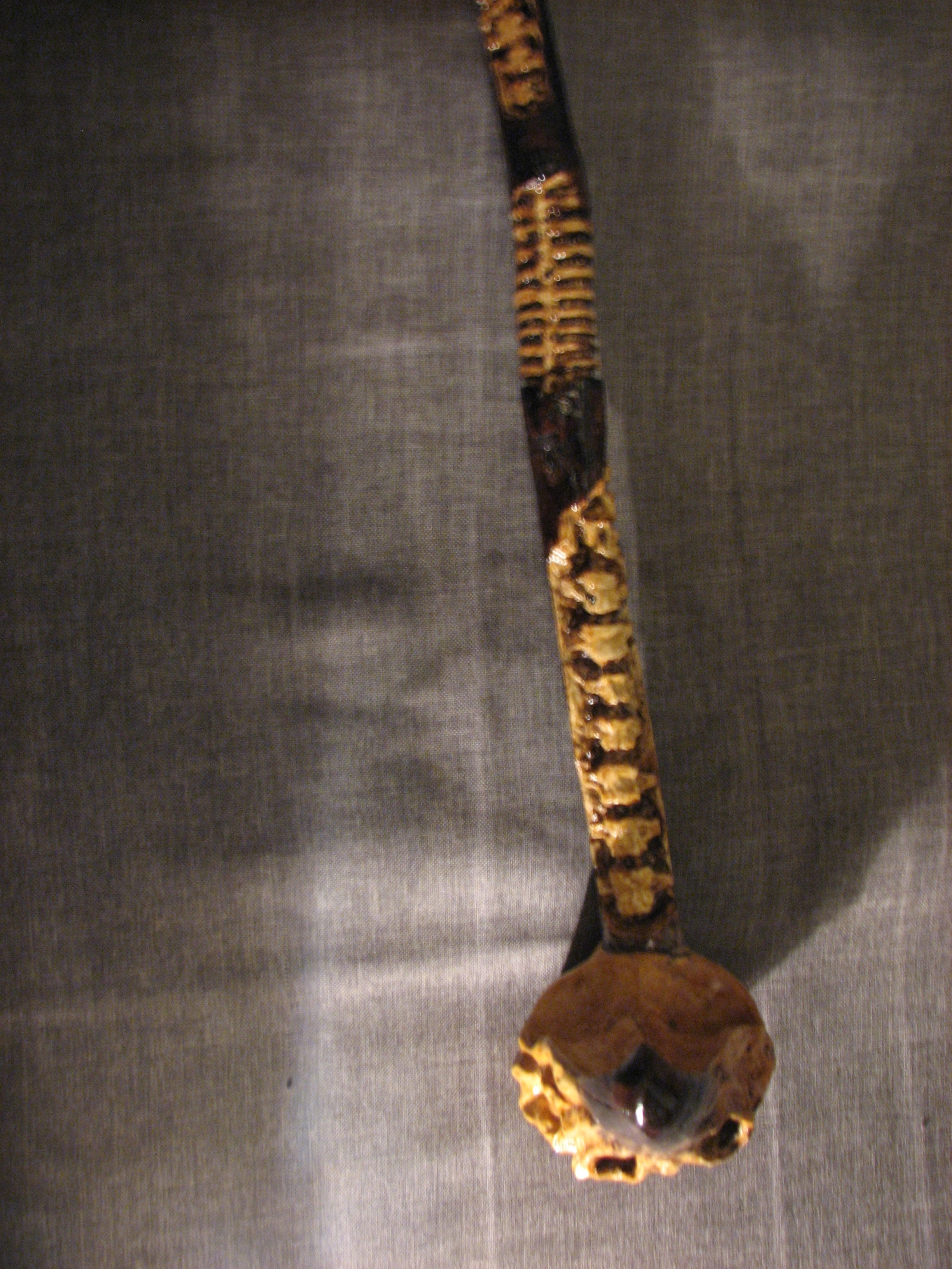 Decorative cane, bird skull - My, , bird skull, Wood carving, Scull, Cane, Longpost