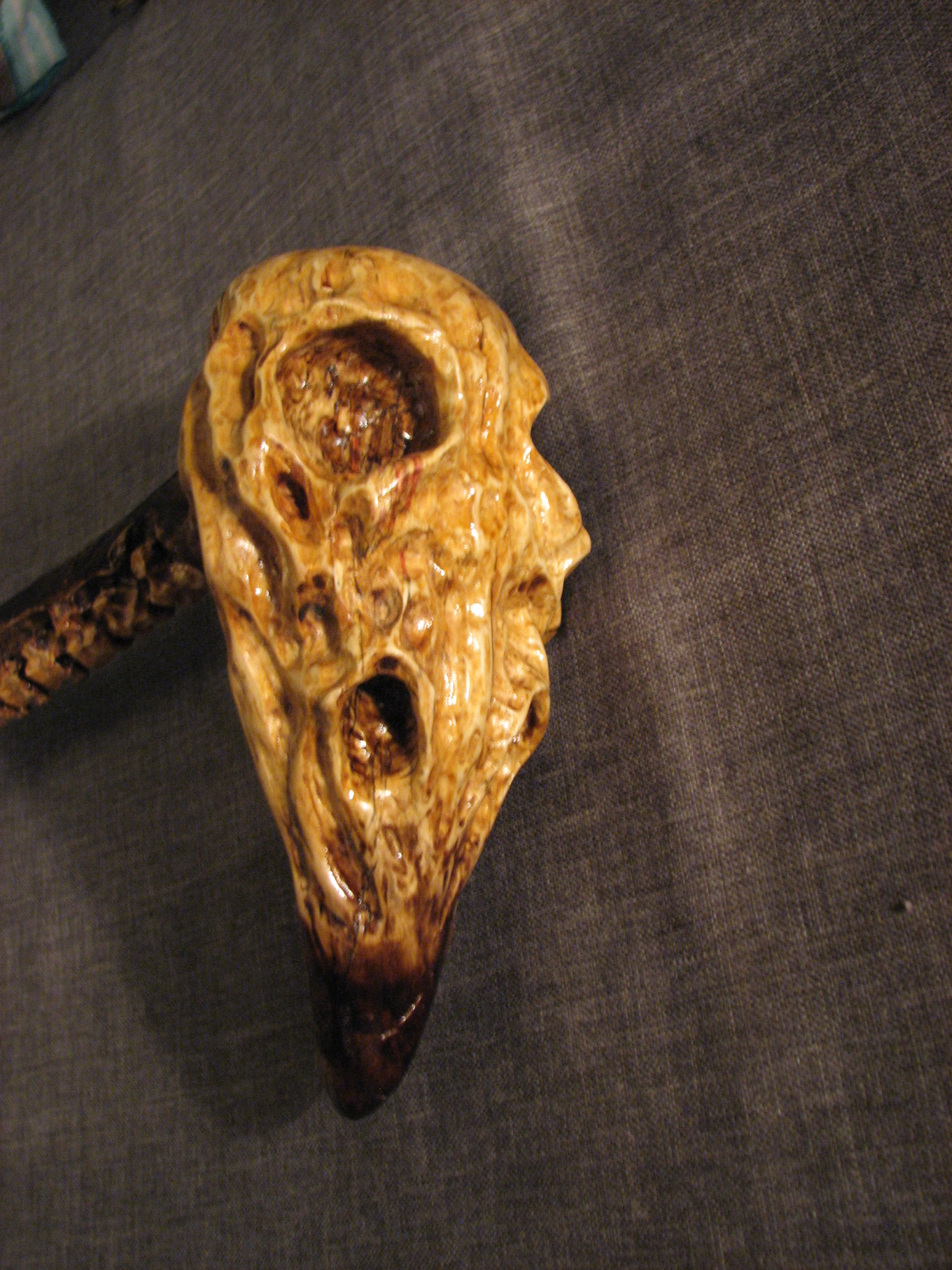 Decorative cane, bird skull - My, , bird skull, Wood carving, Scull, Cane, Longpost