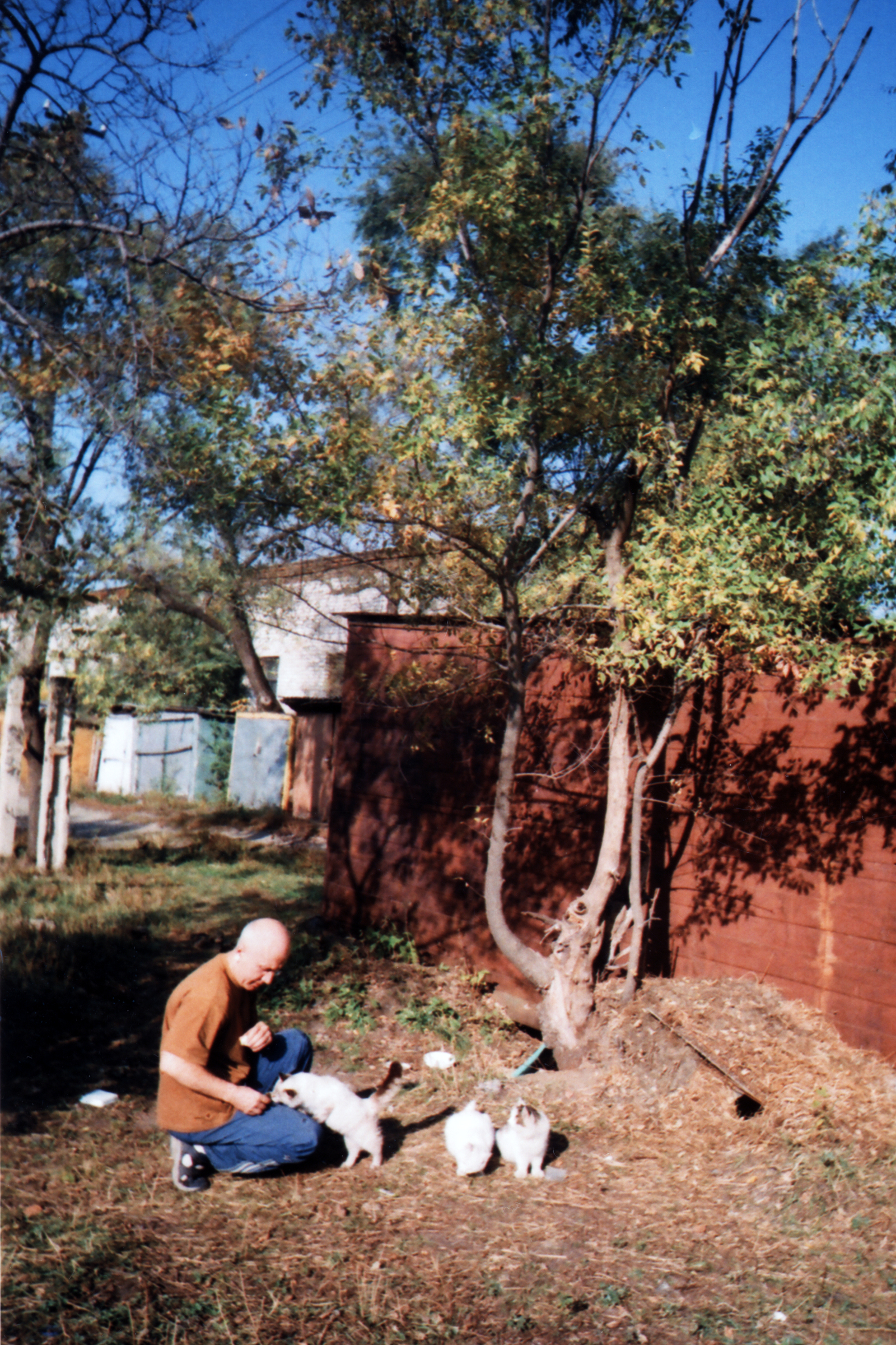 How I built the Cat's House and planted a public garden. - My, cat, Story, cat house, Pokrovka, Primorsky Krai, Longpost