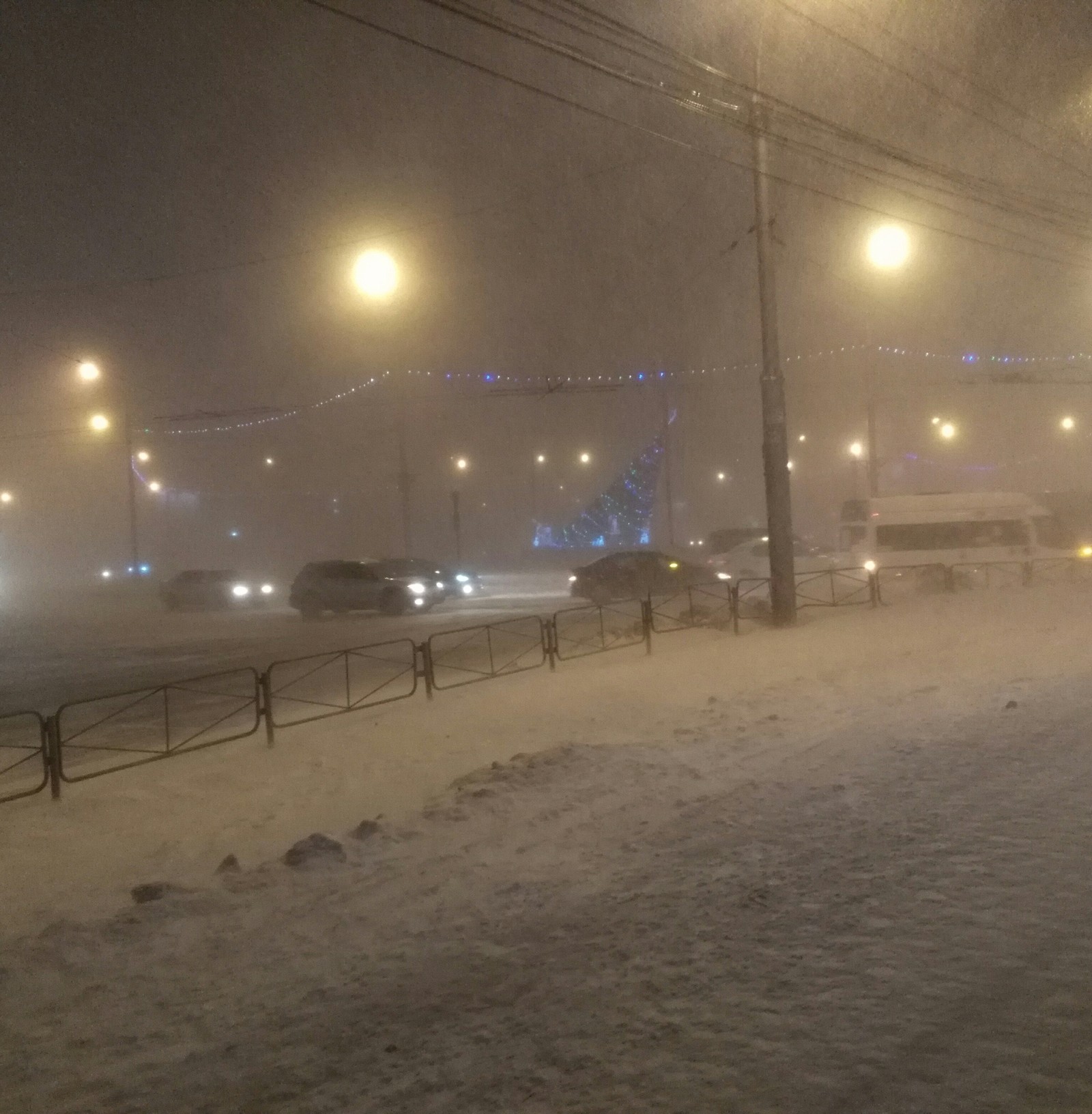 Christmas tree is tired - My, Novosibirsk, Christmas trees, Wind, Blown away