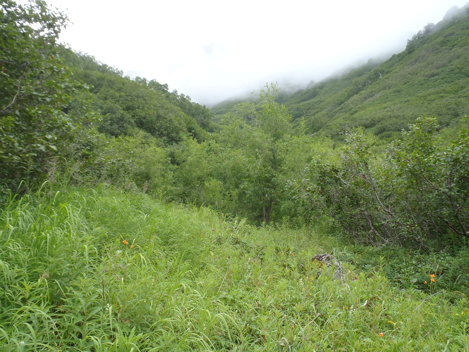 Our race (crawled) to the Bakening volcano. Day two - soaked in dampness, pain and hatred. - My, My, Kamchatka, Tourism, Sodomy, Longpost, , Volcano