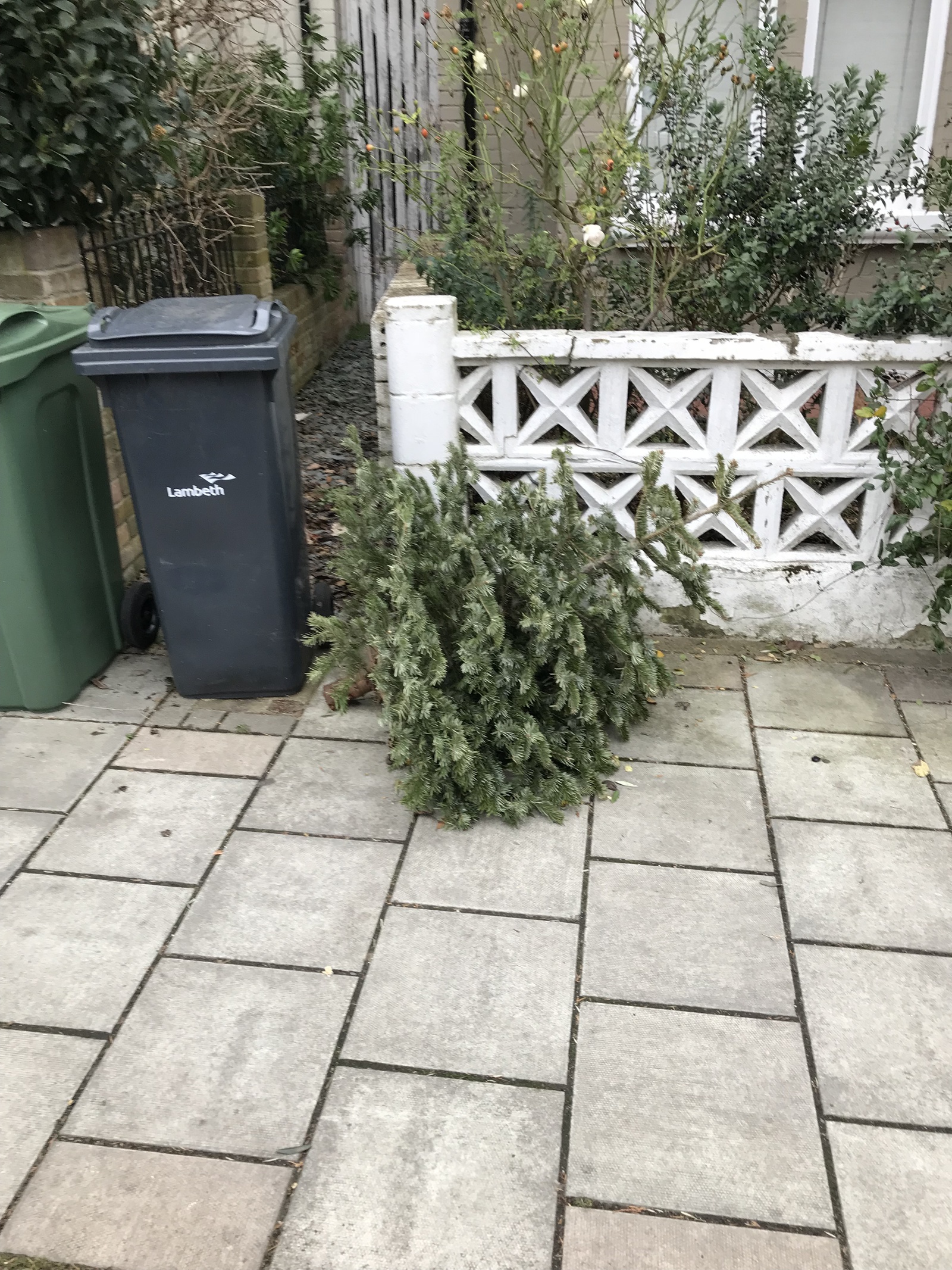 How Christmas trees are thrown away in England - My, Christmas trees, New Year, England, Longpost