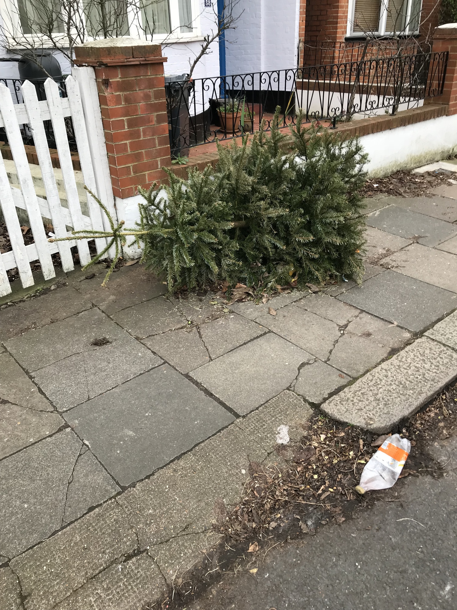 How Christmas trees are thrown away in England - My, Christmas trees, New Year, England, Longpost