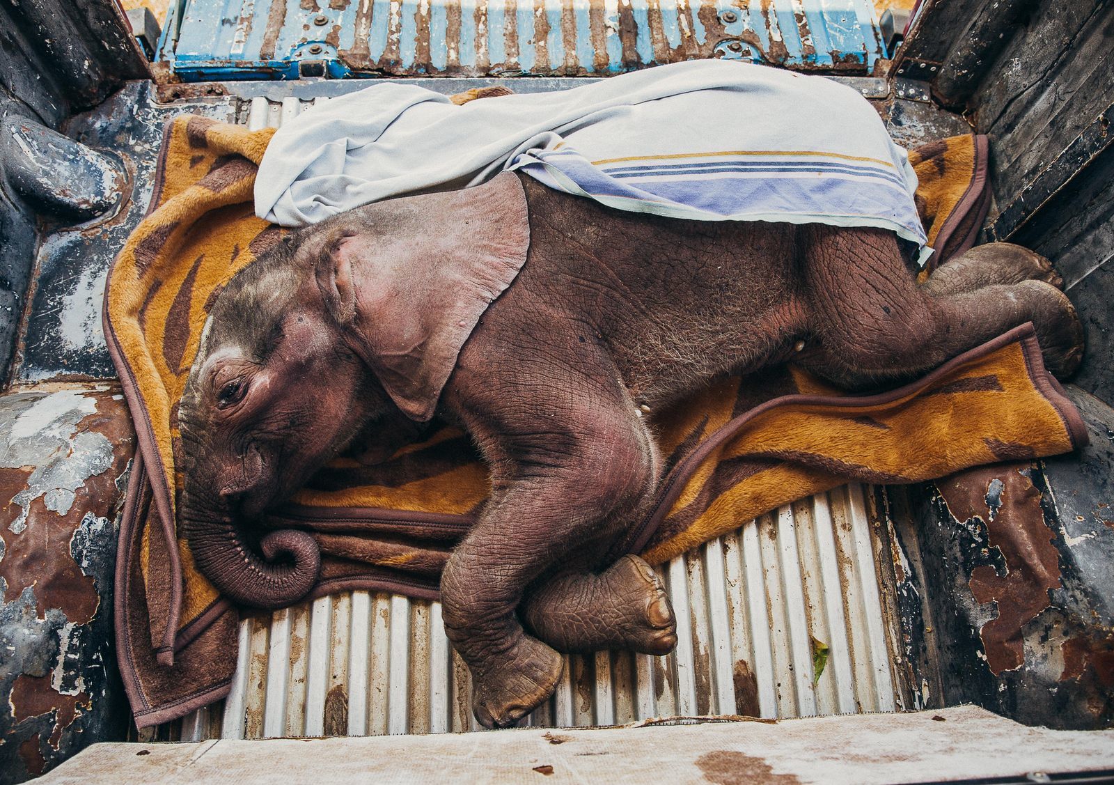 A selection of gorgeous photos from National Geographic - Beautiful places, The photo, A selection, The national geographic, Beautiful view, Longpost