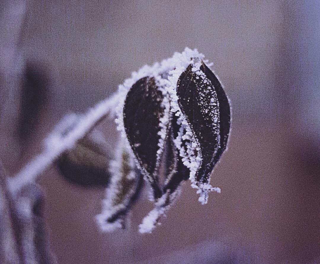 Such a different winter is beautiful - My, The photo, Winter, I want criticism, Longpost