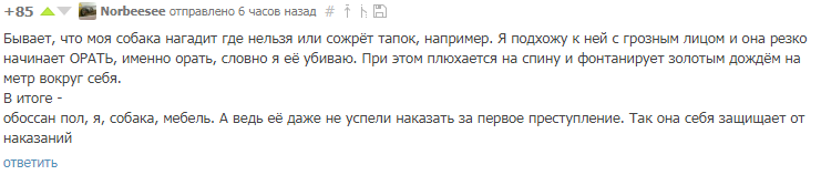 Самооборона - Собака, Паника, Самооборона, Комментарии, Комментарии на Пикабу