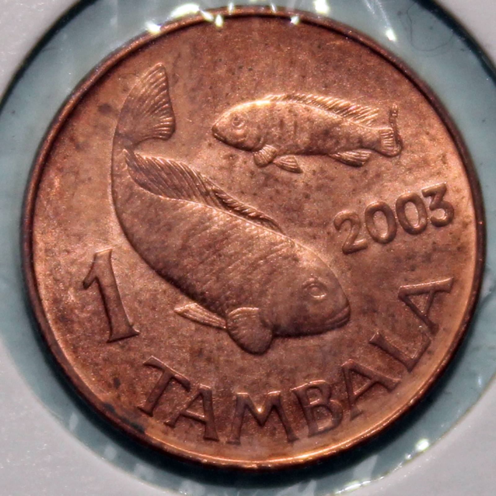 Fish numismatics - A fish, Coin, Numismatics, Longpost