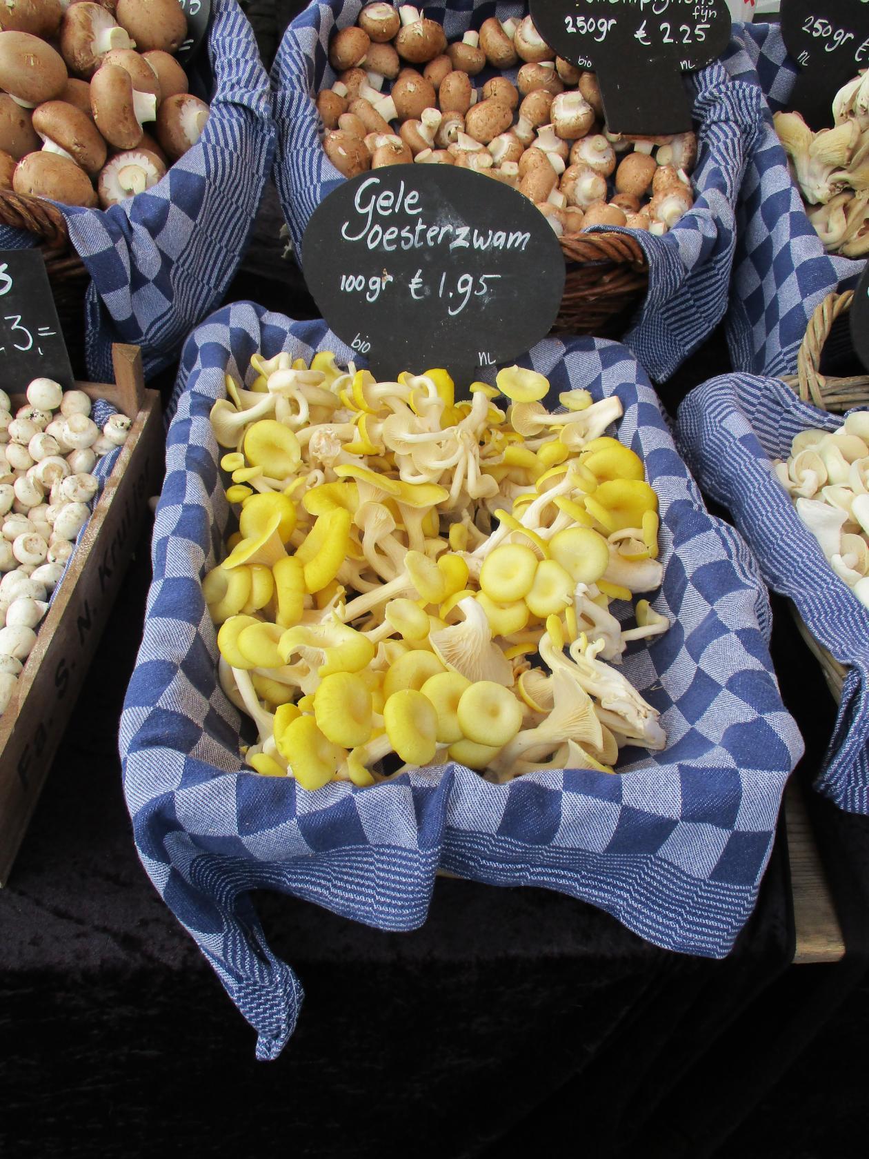 Mushrooms in the Amsterdam market... - My, Mushrooms, Travels, Peace, Impressions, Longpost