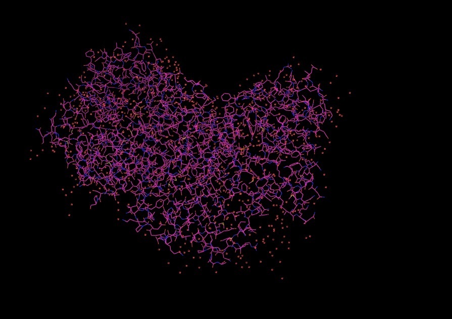 E. coli, yeast, splicing and all sorts of letters - My, Yeast, Genetics, Bioinformatics, Bioengineering, DNA, Protein, E. coli, Longpost