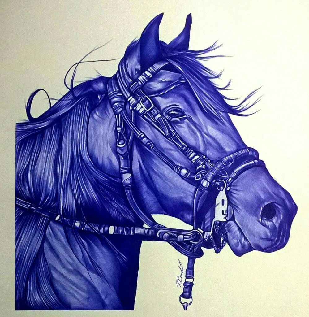 magic ballpoint pen - Drawing, Horses, Pen drawing, Longpost