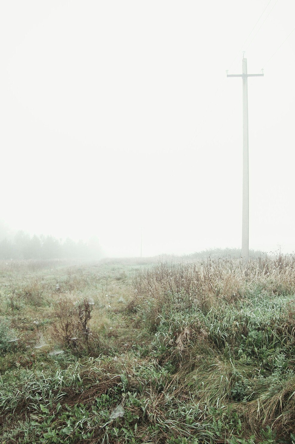 One morning - My, The photo, Fog, Landscape, Longpost