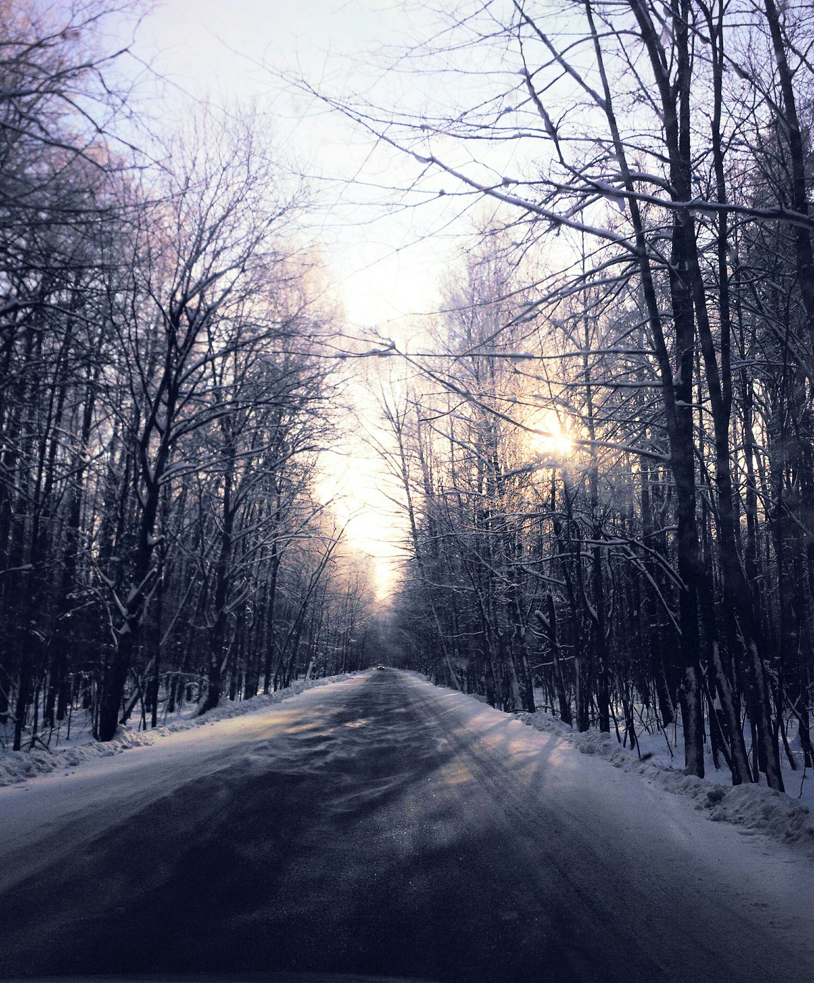 snow fairy tale - My, Winter, Snow, Pinery, Forest, Road, Story, Longpost