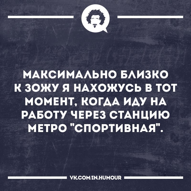 ЗОЖ меня так просто не возьмёшь! - Моё, Юмор, Транспорт