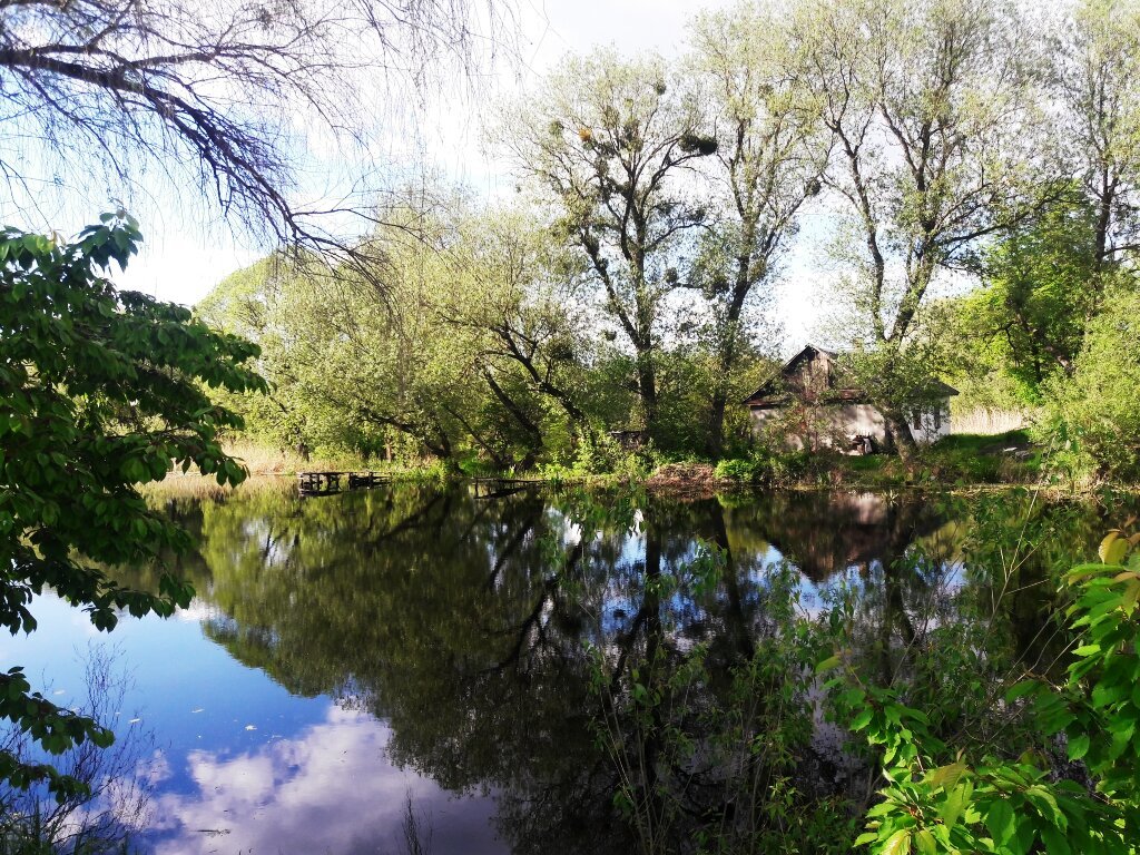 House by the river - My, River, House, Summer, Nature