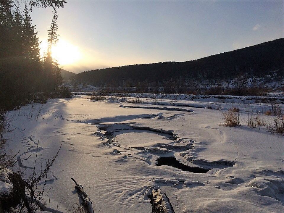 Walk around the native places part 2 - My, , House, Homeland, Winter, Longpost, Dog, Friend