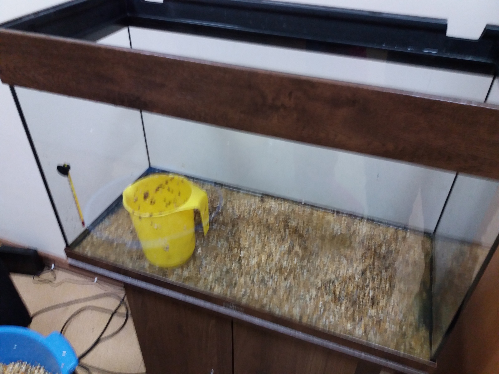 Moving the aquarium to 80 liters. - My, Aquarium, , Aquarium fish, Longpost