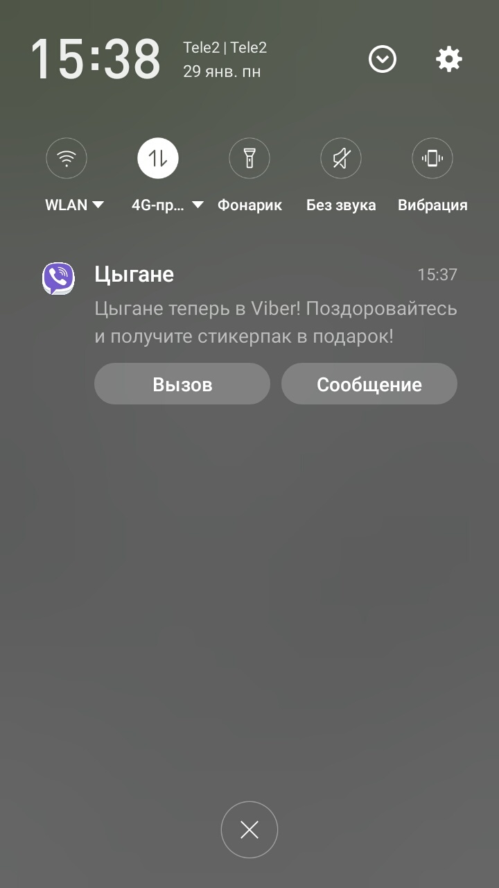 Они стали еще ближе! - Моё, Цыгане, Viber, Вор, Лошади