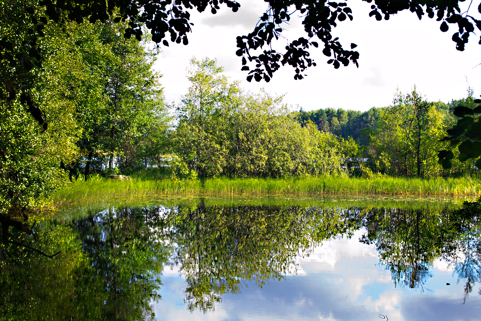 Leningrad region - My, The photo, Nature, Leningrad region, Longpost