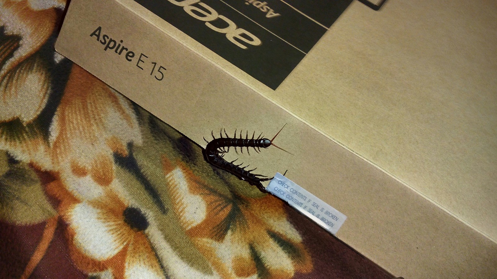 Gift from the seller - My, Scolopendra, Surprise, Horror