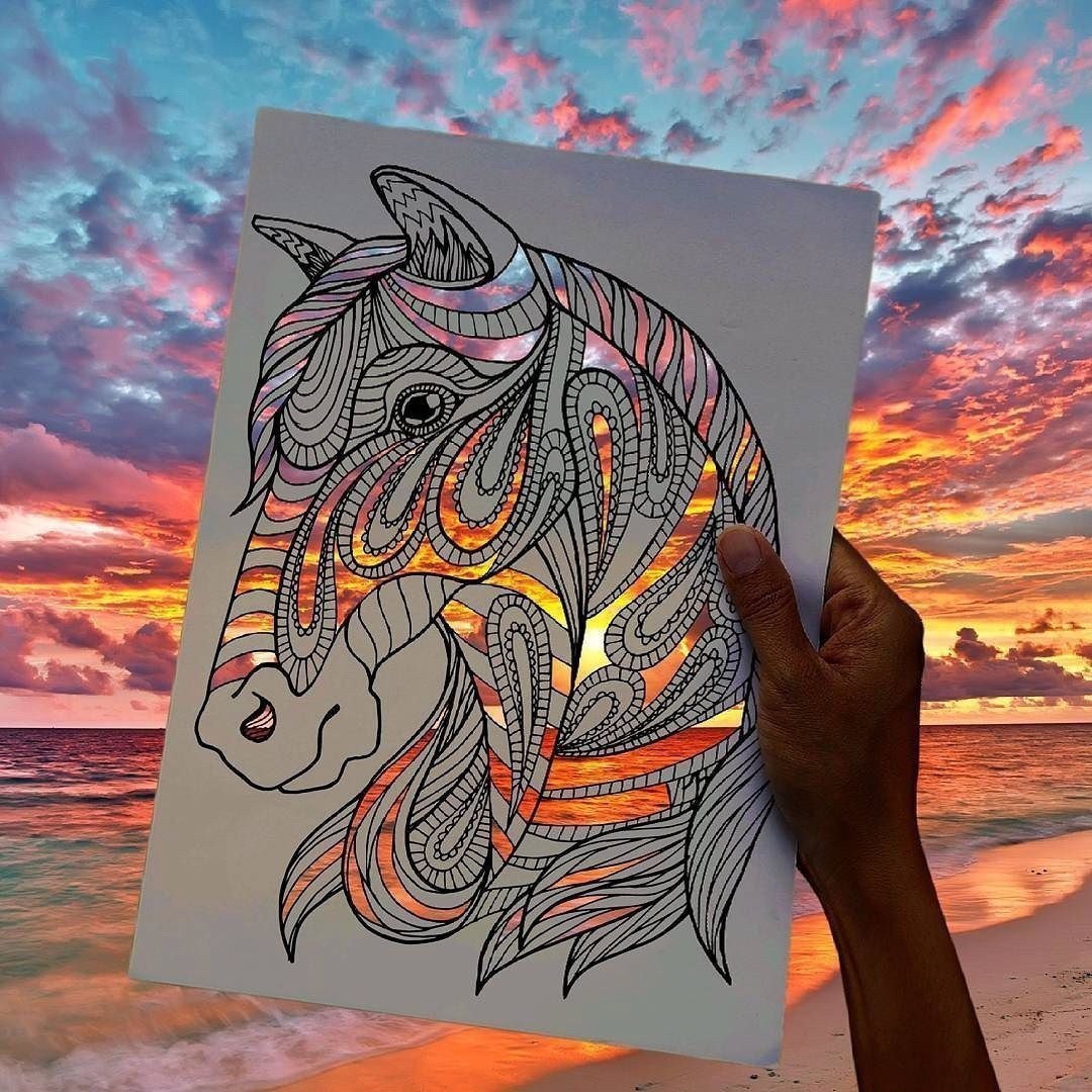 All the colors of the sunset - Stencil, Sunset, The photo, Creation, Horses