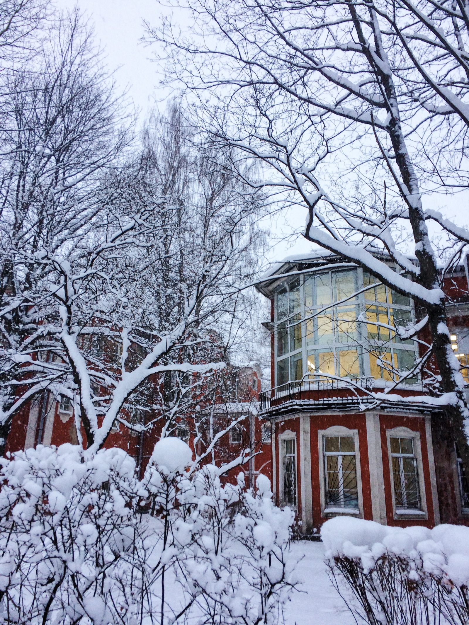 Winter - My, Beginning photographer, Winter, The park, Medical University, Saint Petersburg, Snow, Snowfall, Longpost