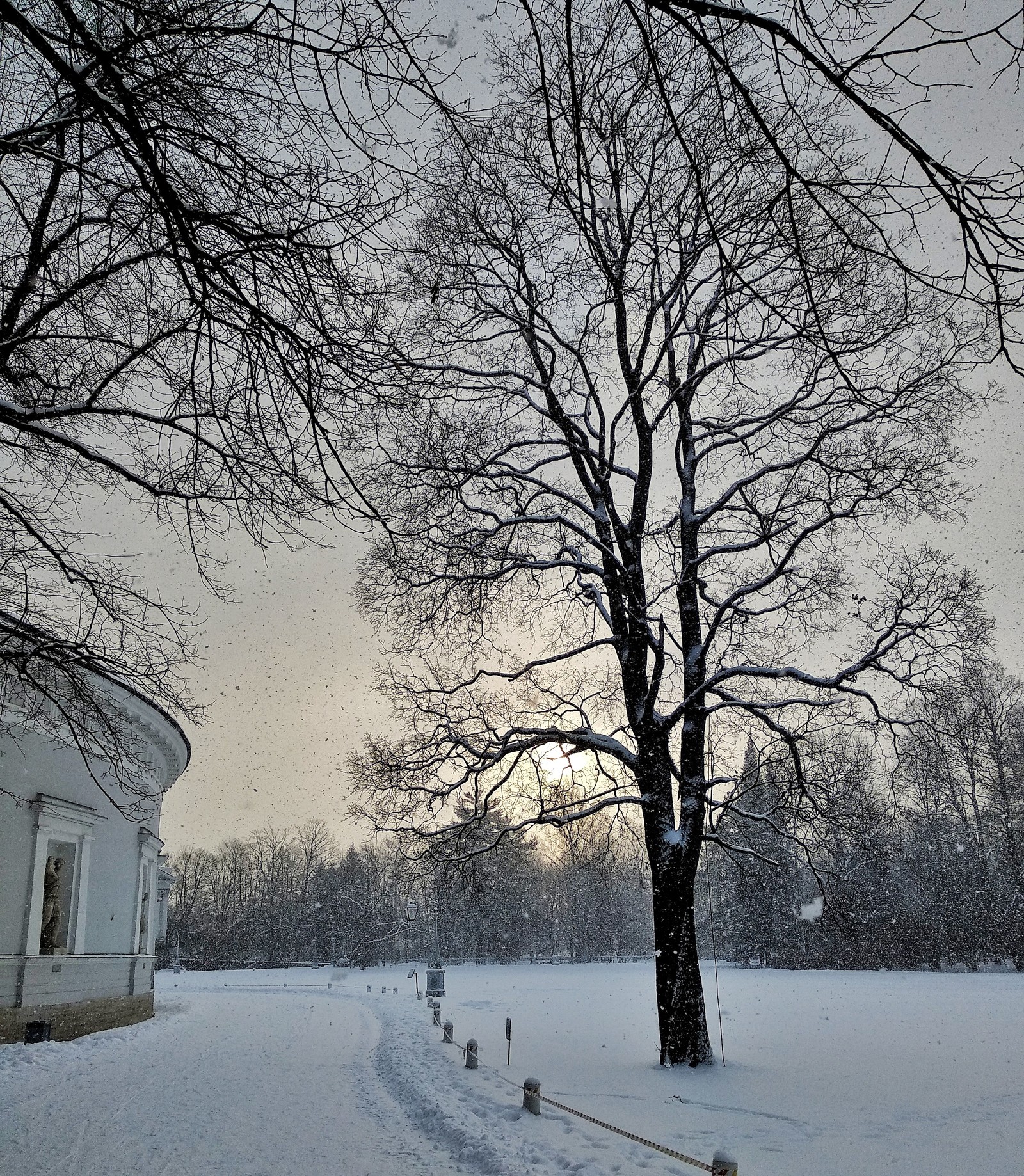 Снежное воскресенье. - Моё, Лес, Зима, Белка, Машина, Природа, Начинающий фотограф, Длиннопост