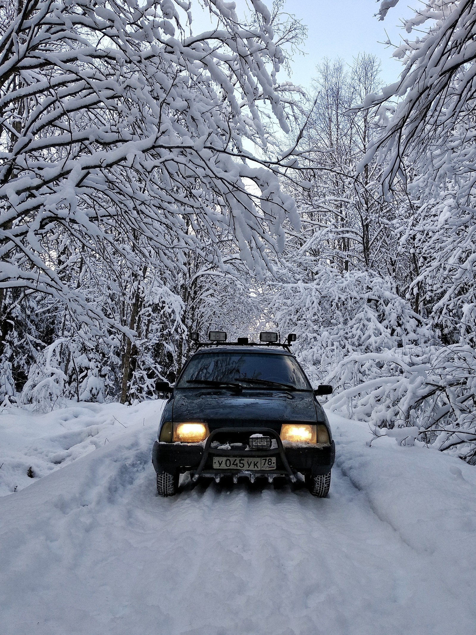 Snowy Sunday. - My, Forest, Winter, Squirrel, Car, Nature, Beginning photographer, Longpost