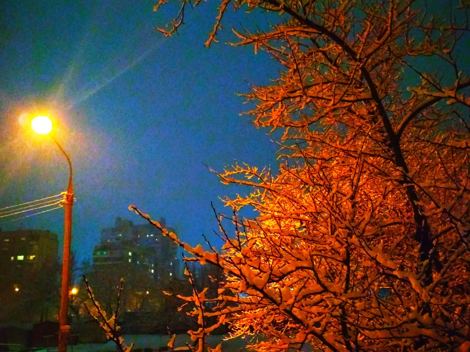 Snow - My, Snow, The photo, Evening, Tree, Crooked hands