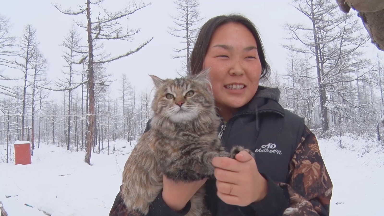 15 minutes from the life of reindeer herders in the taiga. Evenks, deer and a brave cat! - My, Reindeer herder, , Evenki