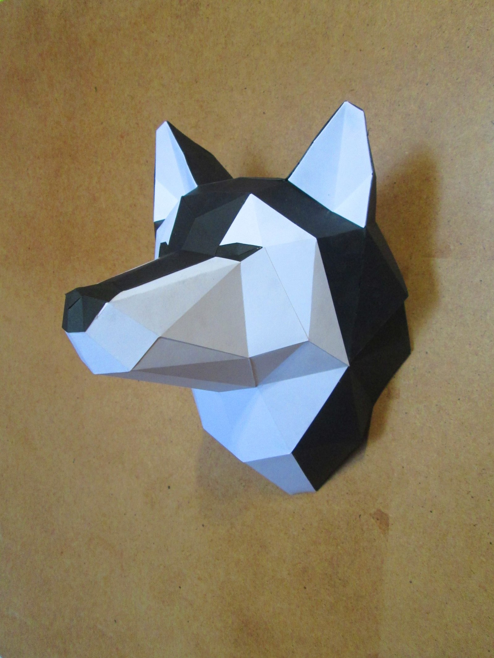 Husky head on the wall - My, Husky, Papercraft, , Paper, Trophy, Longpost