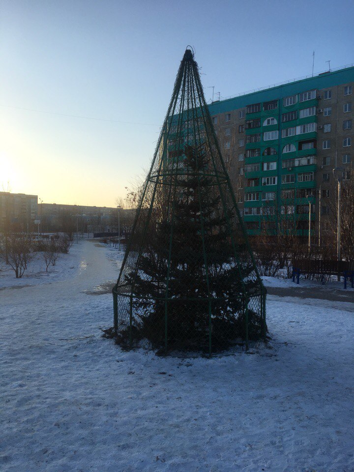 Когда живешь в криминальном районе города - Моё, Клетка, Ёлки, Оренбург