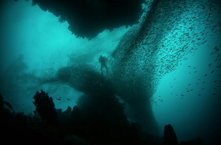 Russian diver reveals the secret of the terrible sounds from the bottom of the Red Sea - Red sea, Secret, Diving