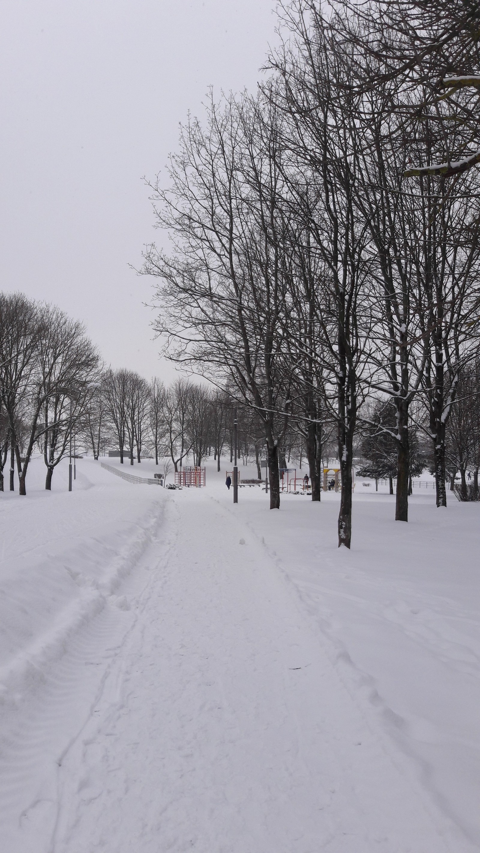 Walk in the winter park - My, Mobile photography, Samsung Galaxy a5, Photo on sneaker, Minsk, Winter, Longpost