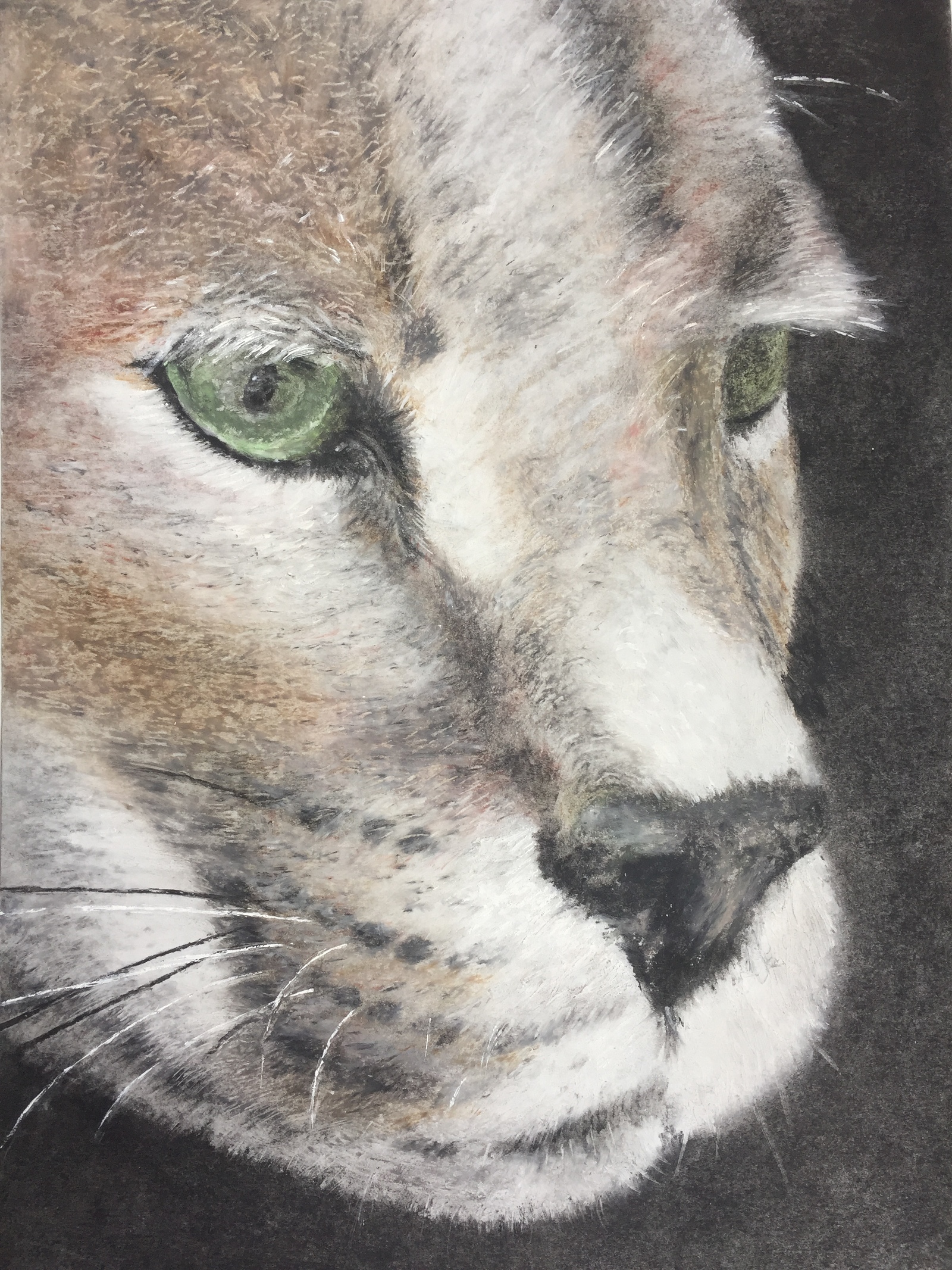 Стальной взгляд | Пикабу