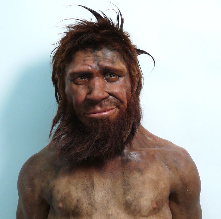 Reconstructions of Neanderthals. - Neanderthal, Paleontology, The science, Anthropogenesis, Longpost, People