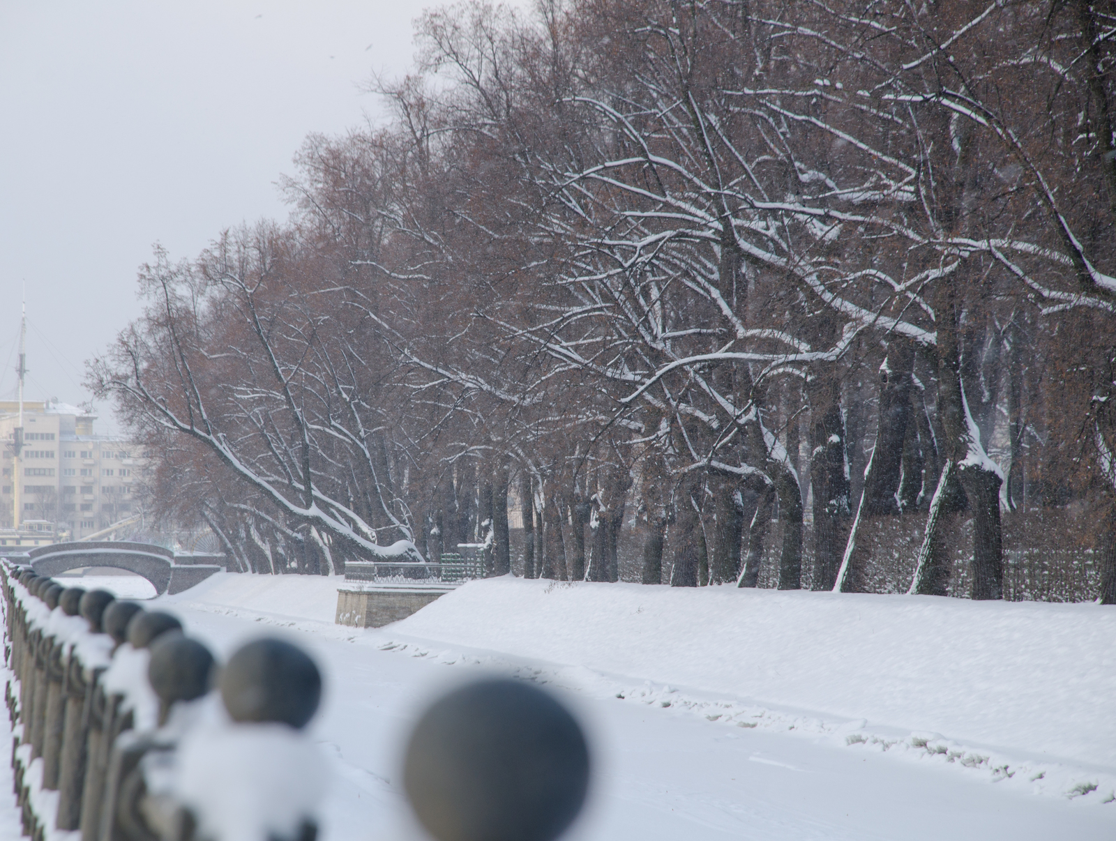 Saint Petersburg - My, Saint Petersburg, Nikon, Snowfall, Winter, Bridge, Neva, The park, Summer garden, Longpost