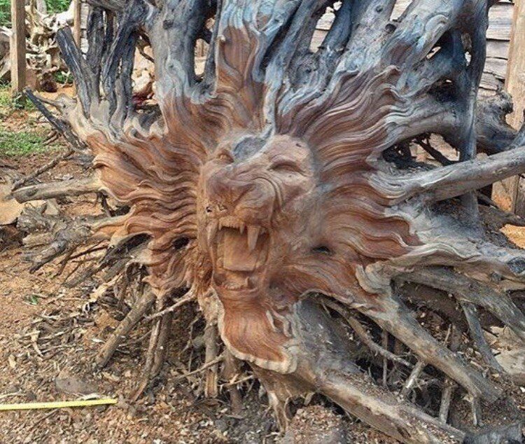 Root - a lion, Tree, Roots, Wood carving