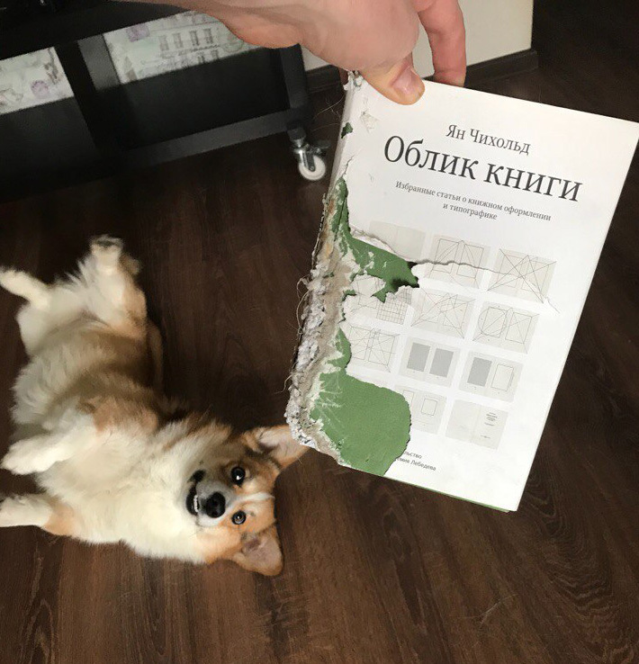 Book appearance - My, Books, Corgi, Gnawed, Images