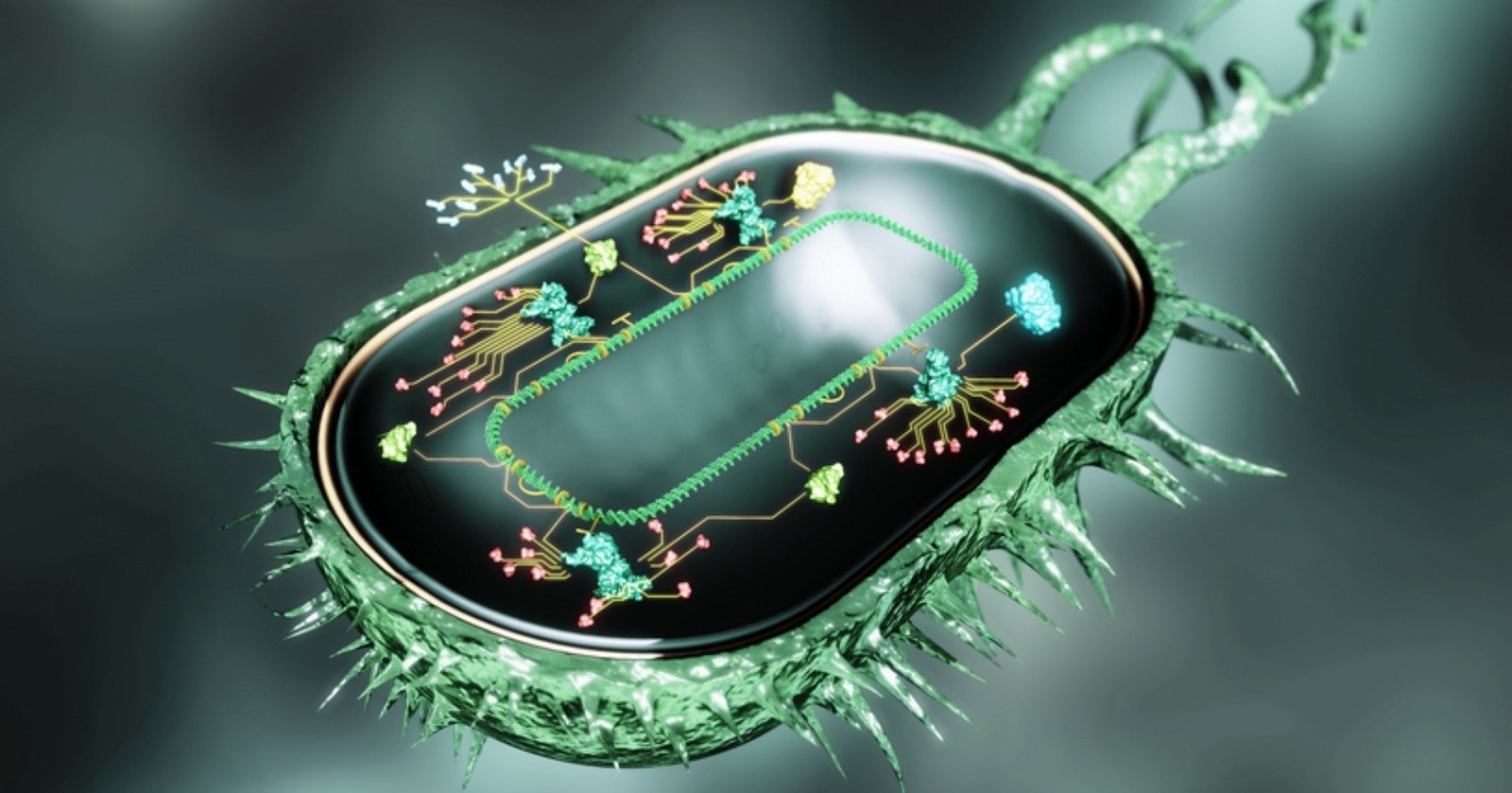 Cello is a living cell programming language - Microbiology, Biology, Biotechnology, Programming, The science, Cell, Technologies, Bacteria, Longpost