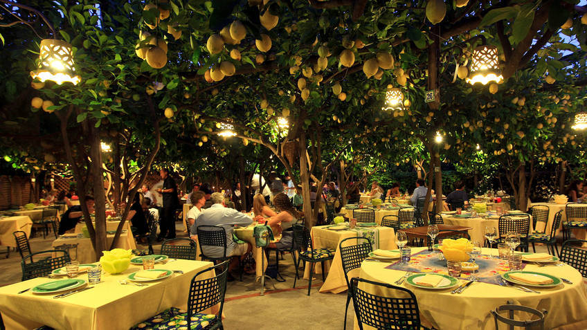 — Waiter, a bucket of tequila! - A restaurant, Lemon, Italy, , Tree