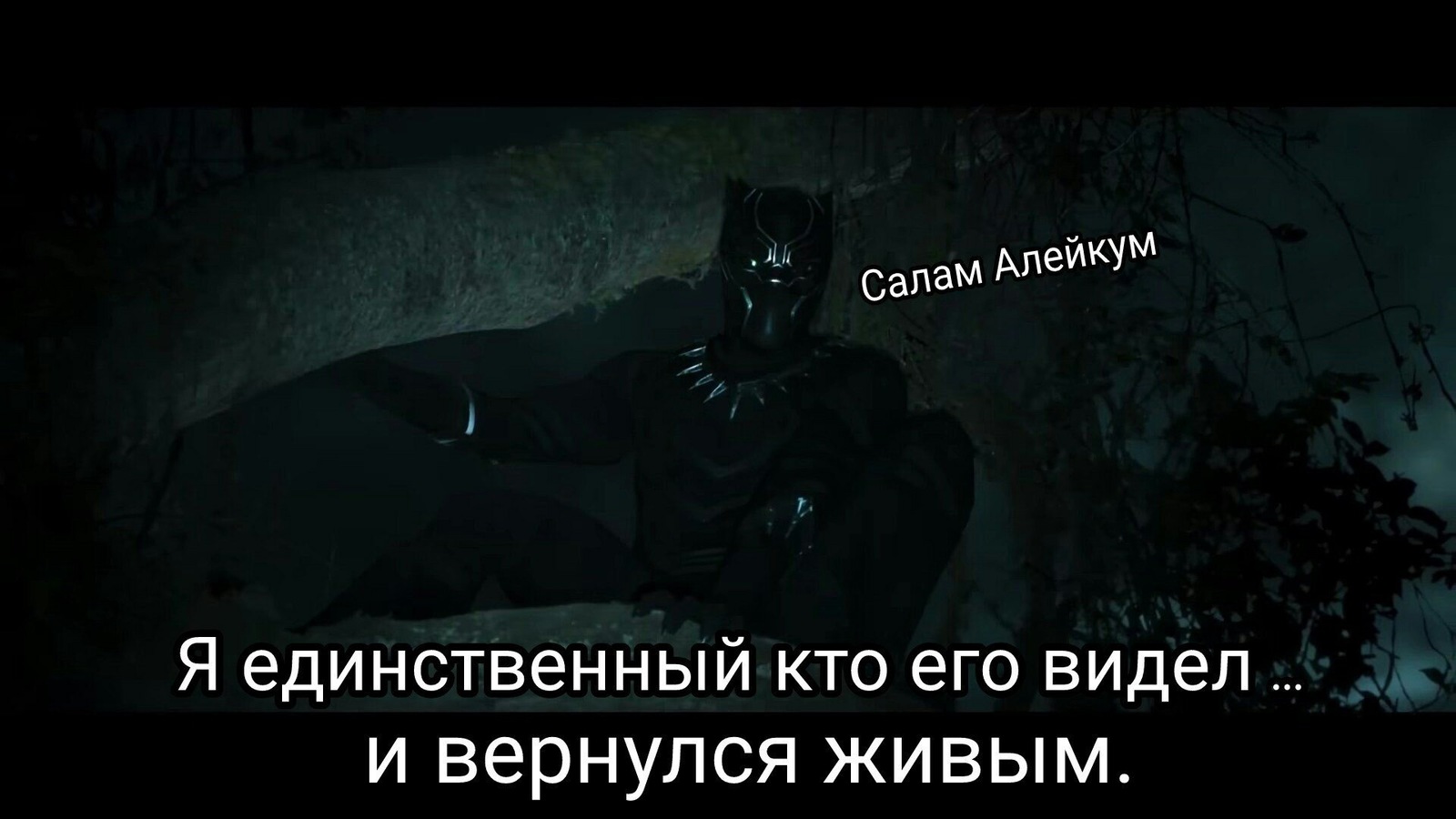 Black Panther in Kazakhstan) - Black Panther, Kazakhstan, Storyboard, Not mine, Longpost