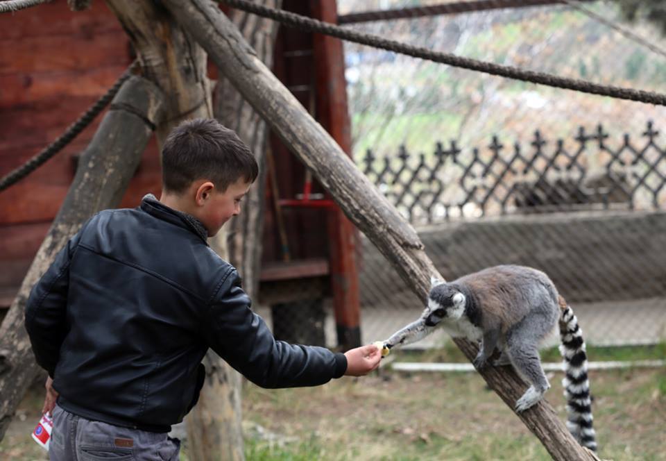 boy and zoo - Zoo, Tbilisi, Police, Longpost, Boy, Children