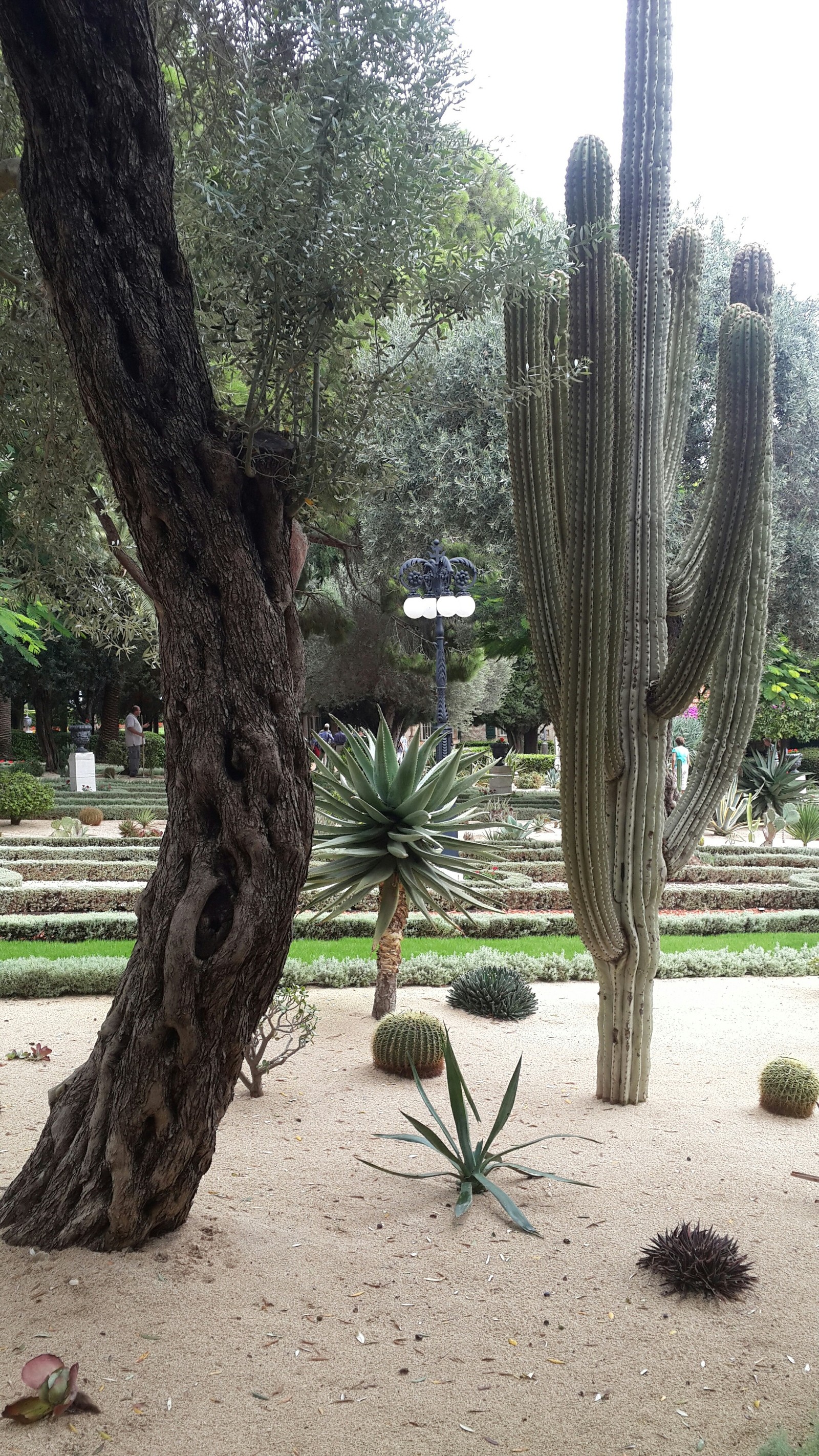 Bahai Temple in Haifa - My, Temple, Haifa, Longpost